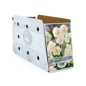 Narcissus Double Bridal Crown | Cappers 5 x 12 - image 2