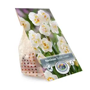 Narcissus Double Bridal Crown | Cappers 5 x 12 - image 3