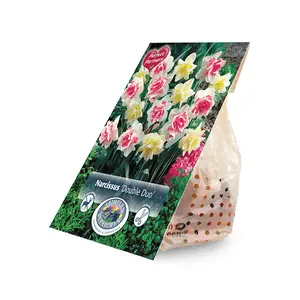 Narcissus Double Duo | Capper 16 x 10 - image 2
