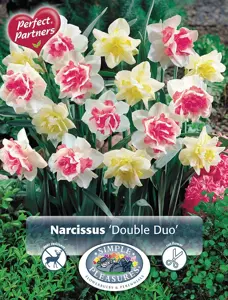 Narcissus Double Duo | Capper 16 x 10