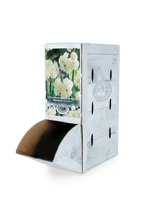 Narcissus Double Erlicheer | 60 pce - image 2