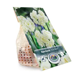 Narcissus Double Erlicheer | Cappers 5 x 12 - image 3