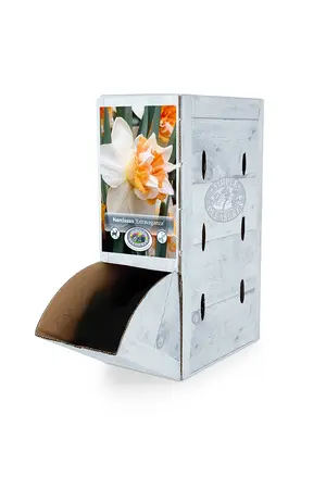 Narcissus Double Extravaganza | 60 pcs - image 2