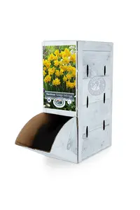 Narcissus Double Golden Delicious | 100 pce - image 2