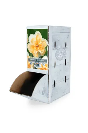 Narcissus Double Golden Pearl | 60 pce - image 2