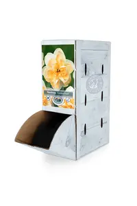 Narcissus Double Golden Pearl | 60 pce - image 2