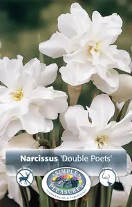 Narcissus Double Poets (Albo Pleno Odorata) | Capper 12 x 5