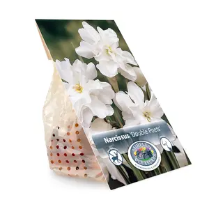 Narcissus Double Poets (Albo Pleno Odorata) | Capper 12 x 5 - image 3