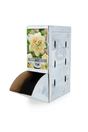 Narcissus Double Pom Rose | 60 pcs - image 2