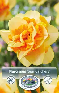 Narcissus Double Sun Catchers | 60 pcs
