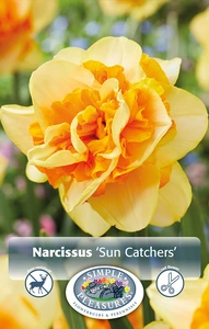 Narcissus Double Sun Catchers | Capper 16 x 3
