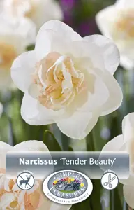 Narcissus Double Tender Beauty | 60 pcs