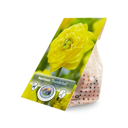Narcissus Double Thunderball | Capper 20 x 3 - image 3