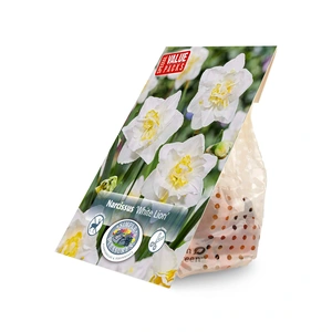 Narcissus Double White Lion | Cappers 10 x 20 - image 2
