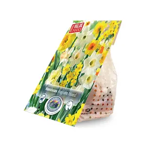Narcissus Fragrant mixed | Cappers 20 x 15 - image 2