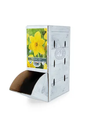 Narcissus Large Cup Carlton | 60 pce - image 2