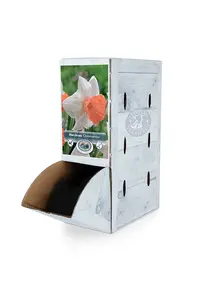 Narcissus Large Cup Chromacolor | 60 pce - image 2