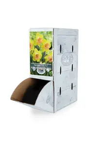 Narcissus Large Cup Color Run | 60 pce - image 2