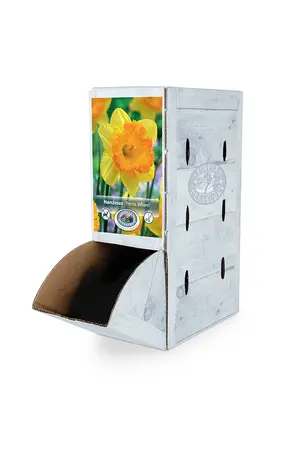 Narcissus Large Cup Ferris Wheel | 60 pce - image 2