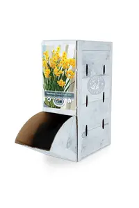 Narcissus Paperwhite Grand Soleil D'Or | 50 pcs - image 2