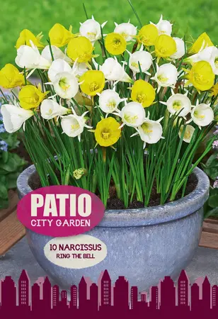 Narcissus Ring The Bell | Cappers 10 x 20 - image 1
