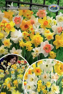 Narcissus Scented Mix | Bags 35 x 20
