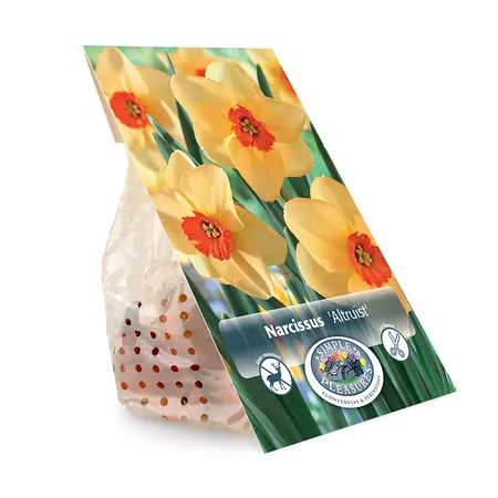 Narcissus Small Cup Altruist | Cappers 5 x 12 - image 3