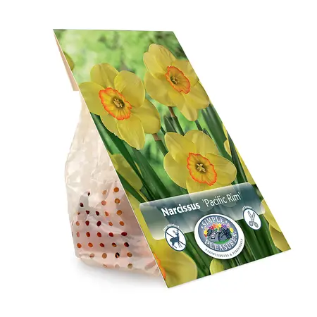 Narcissus Small Cup Pacific Rim | Cappers 5 x 12 - image 3