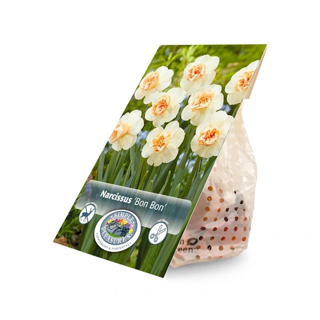 Narcissus Specialty Bon | Cappers 5 x 20 - image 3