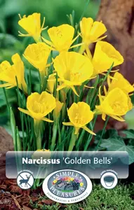 Narcissus Specialty Golden Bells | Capper 12 x 10