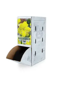 Narcissus Split Corona (Butterfly) Banana Daiquiri | 60 pce - image 2