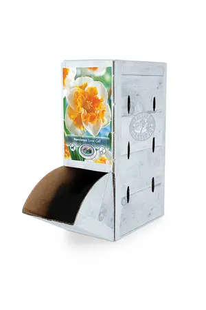 Narcissus Split Corona (Butterfly) Love Call | 60 pce - image 2