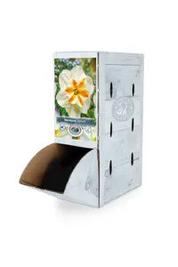 Narcissus Split Corona (Butterfly) Sorbet | 60 pce - image 2
