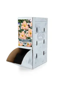 Narcissus Split Corona (Butterfly) Waltz | 60 pce - image 2