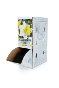 Narcissus Trumpet Cornish King | 60 pce - image 2