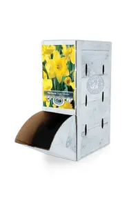 Narcissus Trumpet Dutch Master | 60 pce - image 2