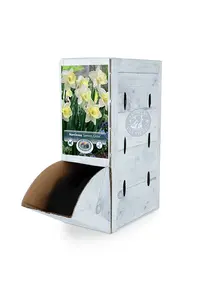 Narcissus Trumpet Lemon Glow | 60 pce - image 2