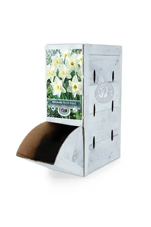 Narcissus Trumpet Mount Hood | 60 pce - image 2