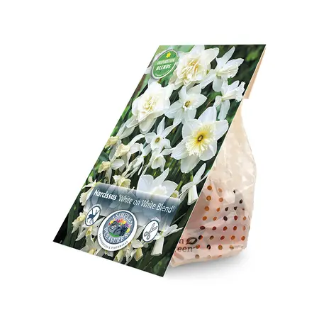 Narcissus White on Blend | Cappers 12 x 15 - image 2