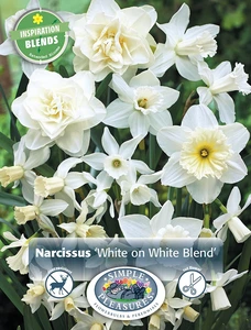 Narcissus White on Blend | Cappers 12 x 15 - image 3