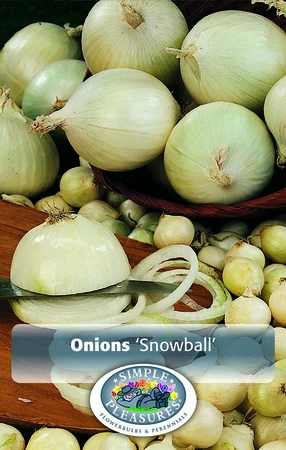 Onion Assortiment | 40 pce - image 3