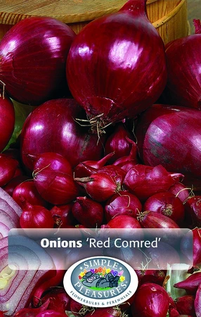 Onions Red (Comred) | Capper 25 x 80