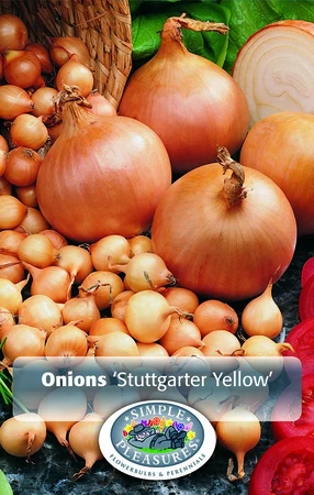 Onions Yellow Onion Stuttgarter | Capper 25 x 80