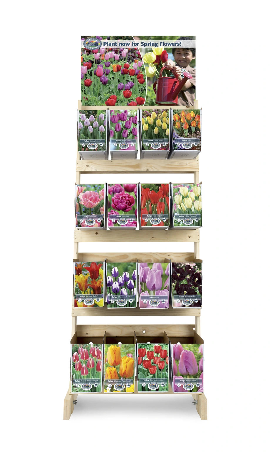 Plant Now for Spring De Vroomen US