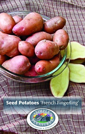 Potatoes French Fingerling | Capper 10 x 3