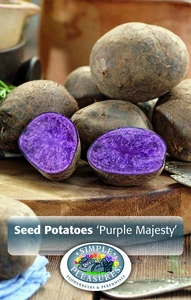 Potatoes Purple Majesty | Capper 10 x 6