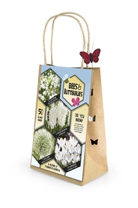 Pre-Packed Collection White | Cappers 50 x 18 - image 3