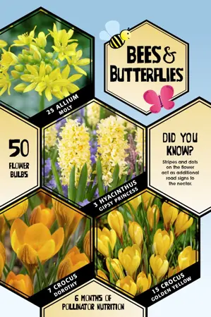 Pre-Packed Collection Yellow | Cappers 50 x 18 - image 1