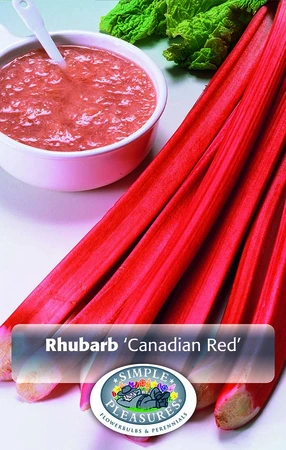 Rhubarb Canadian Red | Capper 16 x 1
