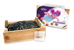 Sesame Street Strawberry Wooden Box Abby Caddaby | pcs 21